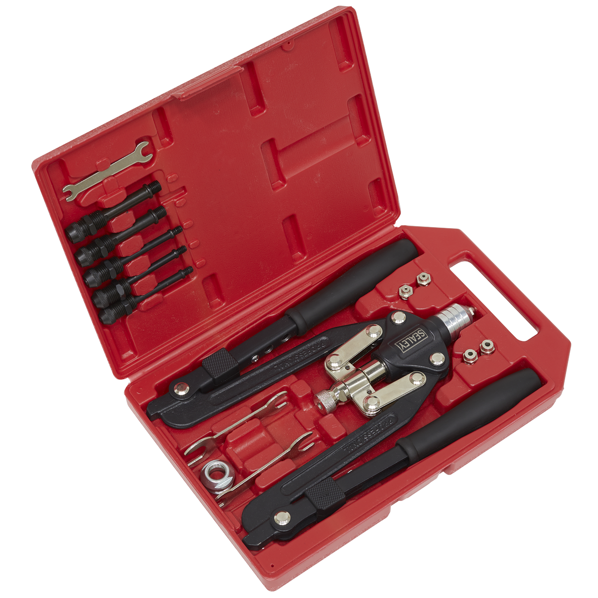 ENT1038 Sealey Rivet & Threaded Nut Rivet Kit